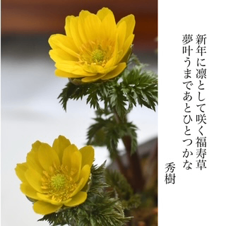 アップロードされた画像